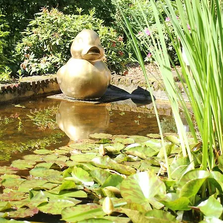 Zilverlinde Bed & Breakfast 3*