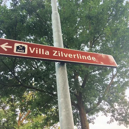 Zilverlinde