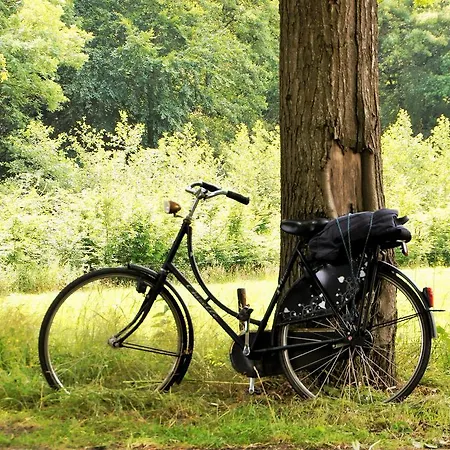 Bed & Breakfast Zilverlinde Vorden