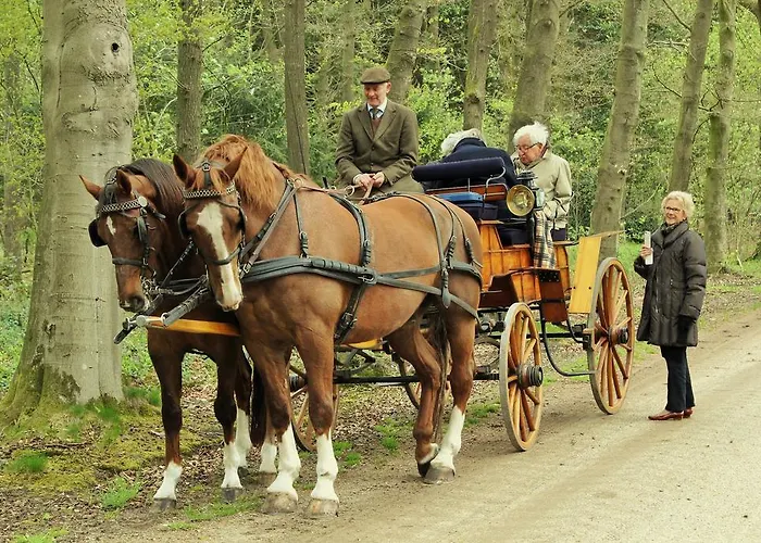 Zilverlinde 3* Vorden