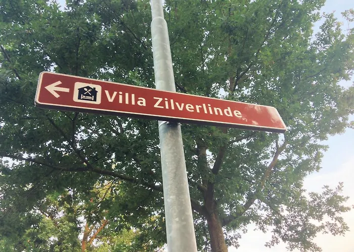 Zilverlinde