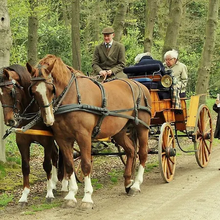 Zilverlinde 3* فوردين