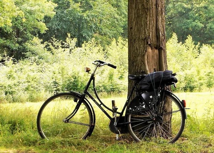 Nocleg ze śniadaniem Zilverlinde Vorden